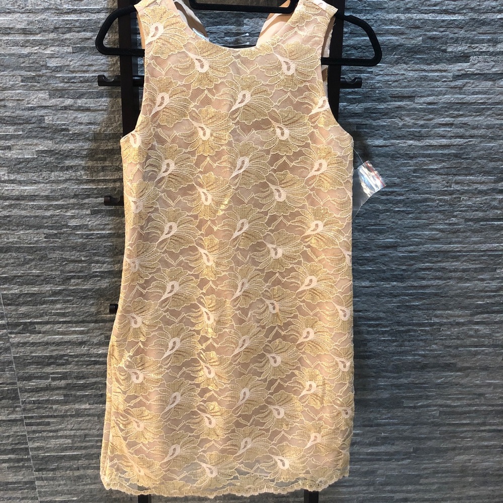 Ann Taylor Gold Lace Dress